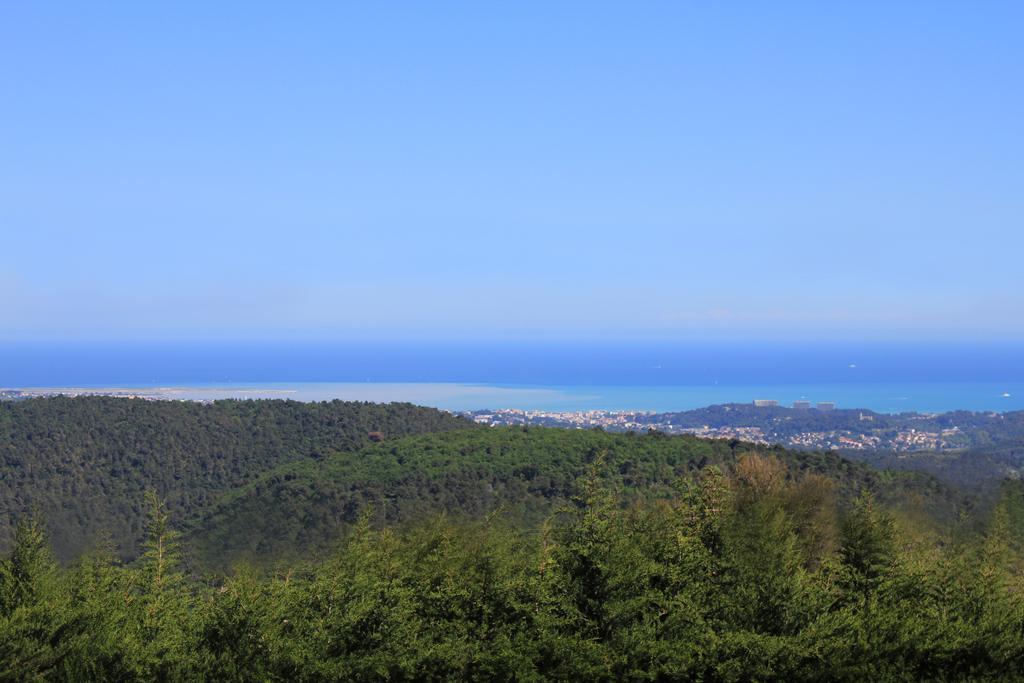 Maison D'Hotes Bleu Azur Туррет-сюр-Лу Экстерьер фото